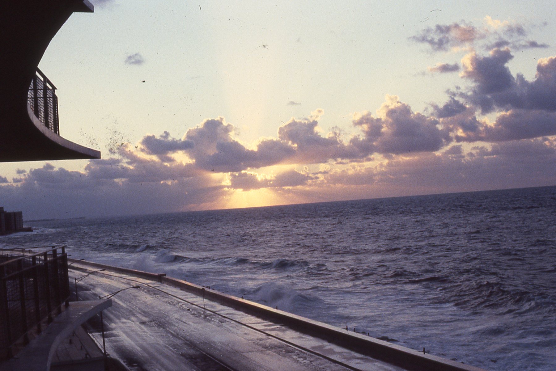 img456.jpg