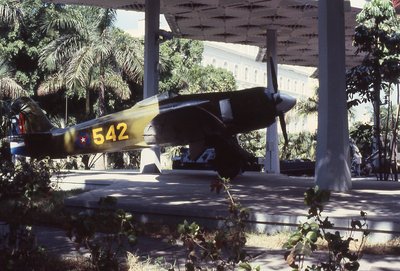 img113.jpg