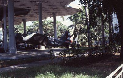 img115.jpg