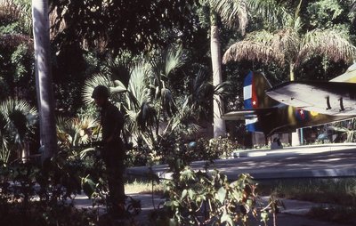img116.jpg