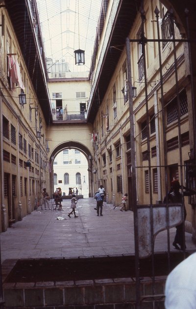 img452.jpg