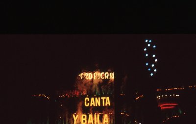 img459.jpg