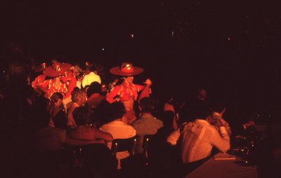 img463.jpg