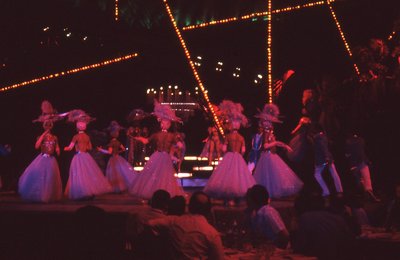img480.jpg