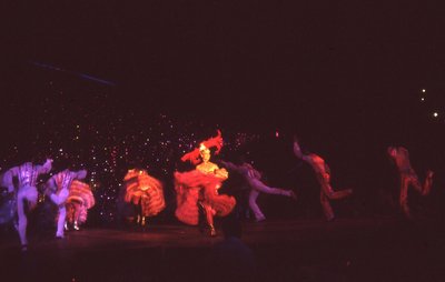 img501.jpg