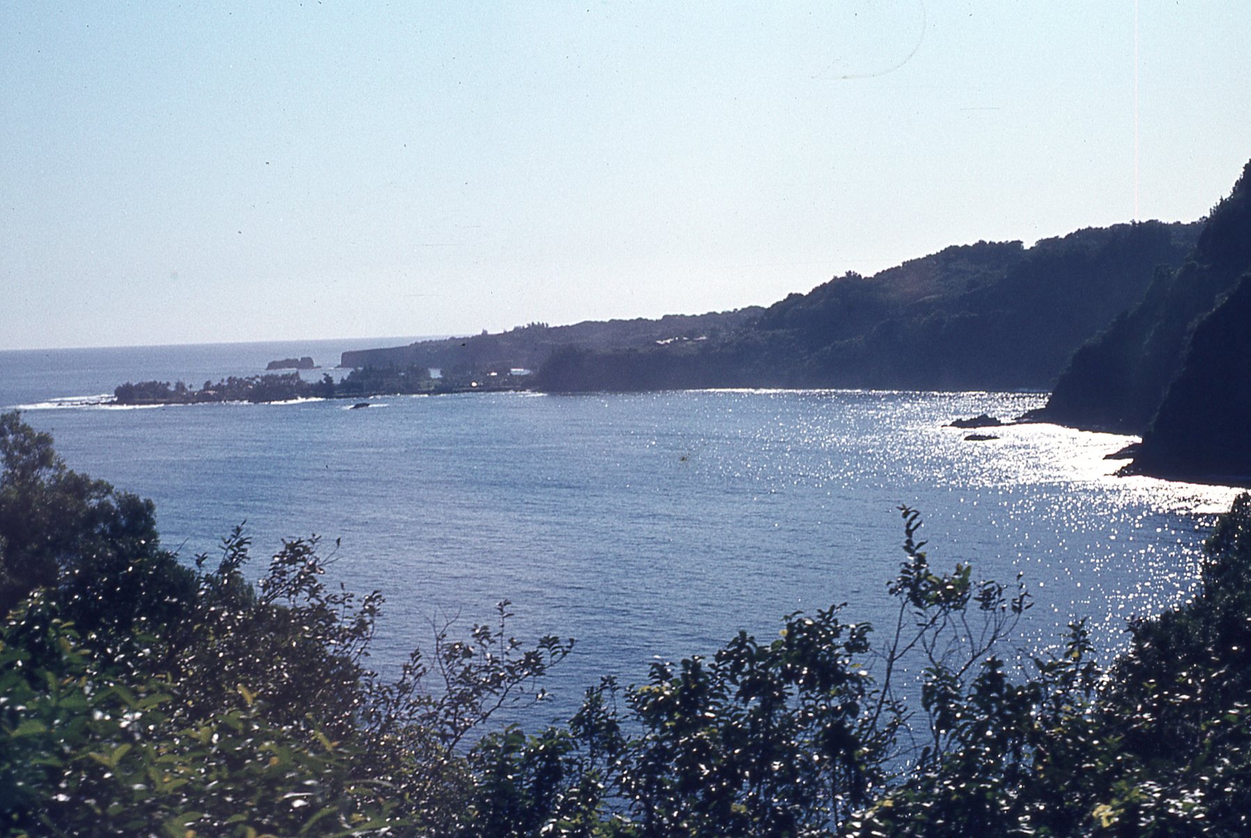 img648.jpg
