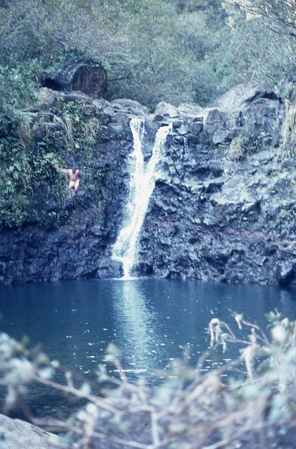 img650.jpg
