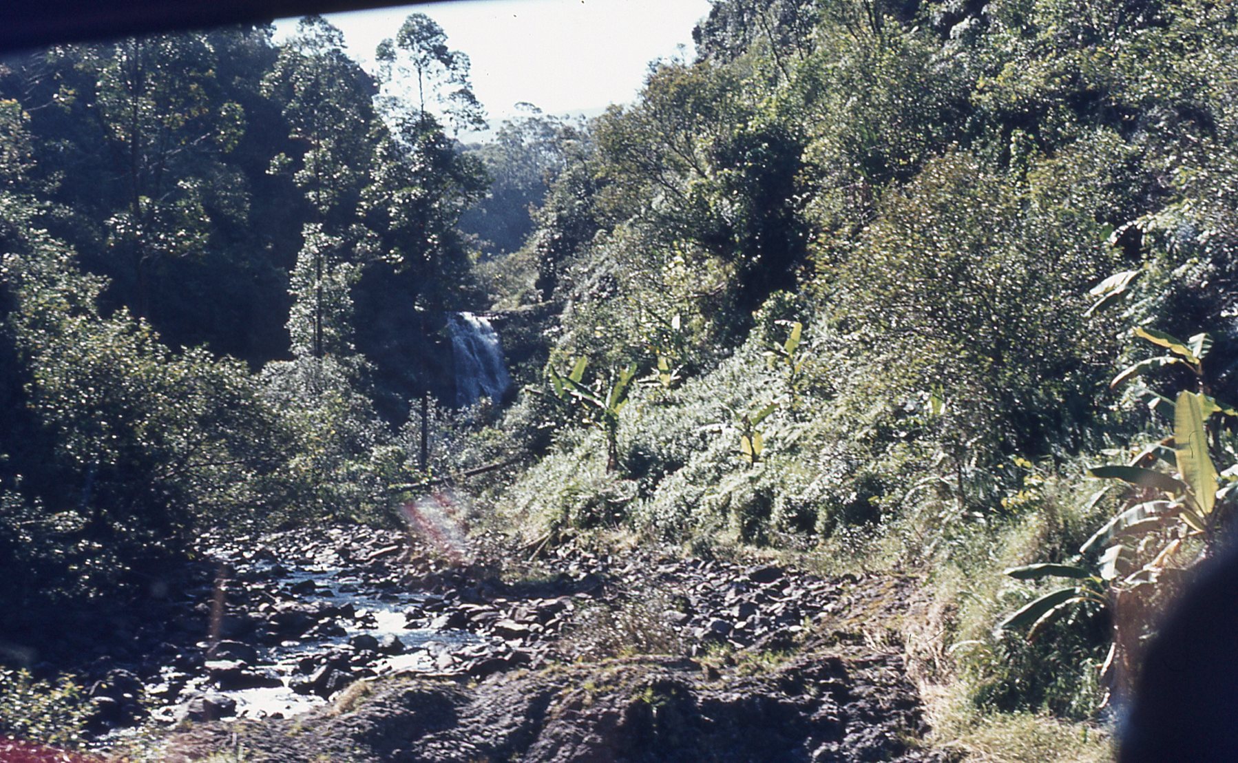 img654.jpg