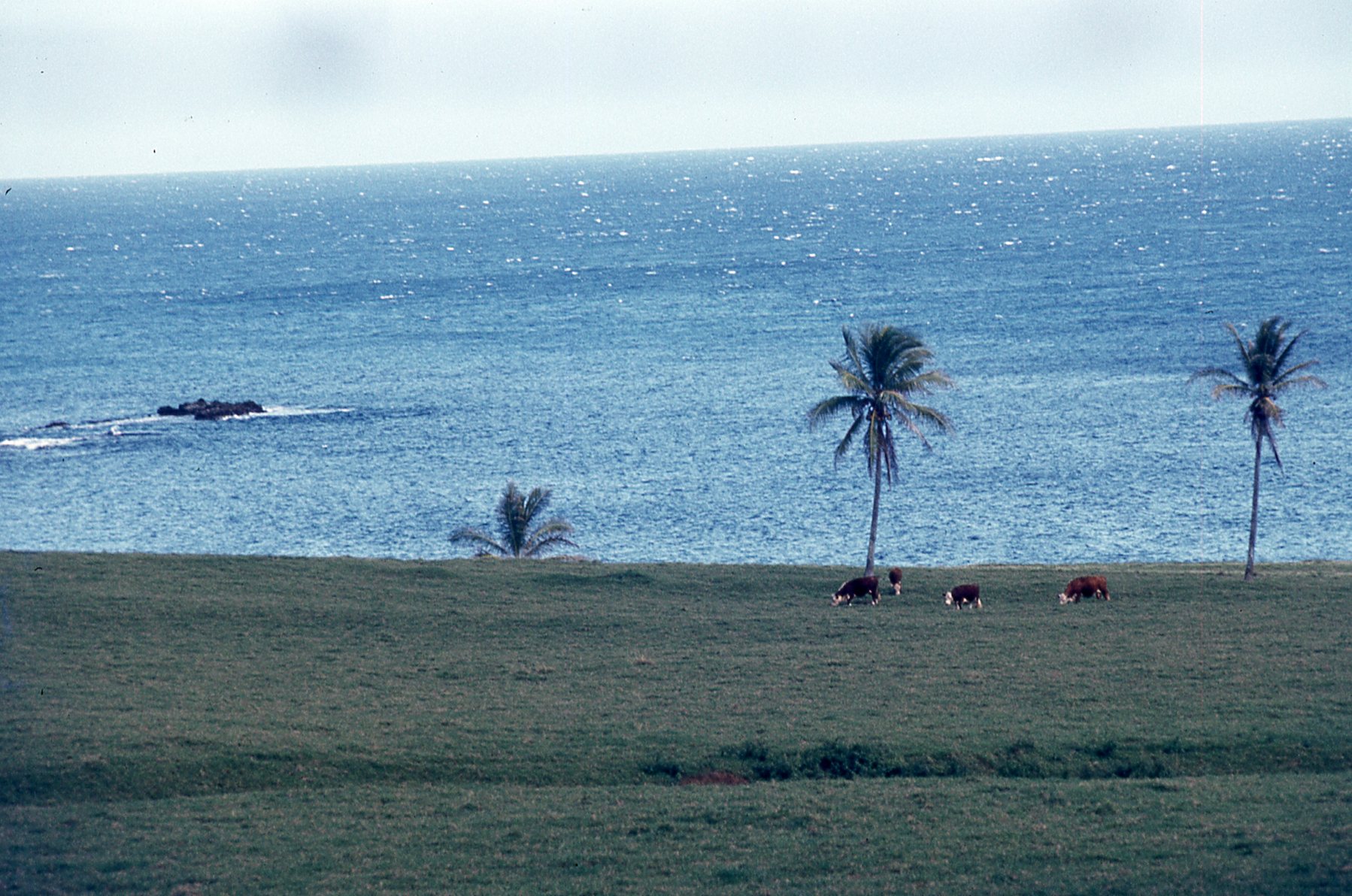 img668.jpg