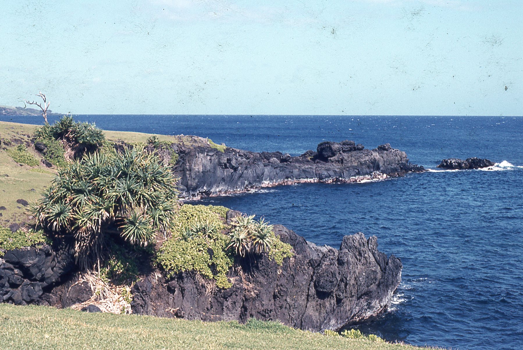 img677.jpg