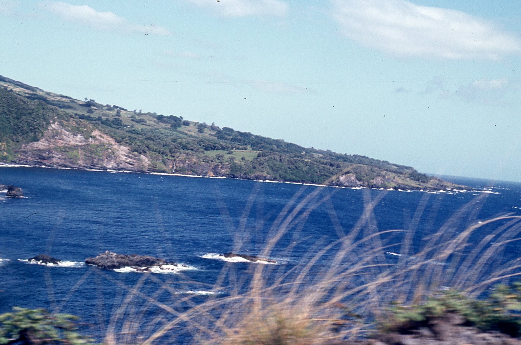 img681.jpg