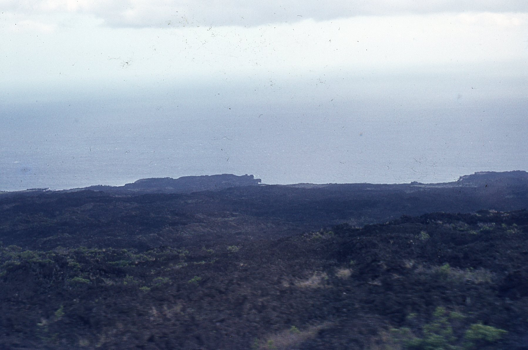 img694.jpg