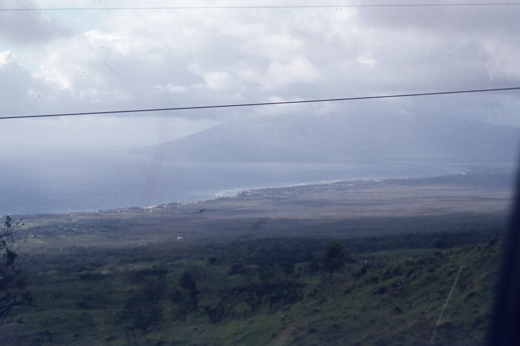 img696.jpg