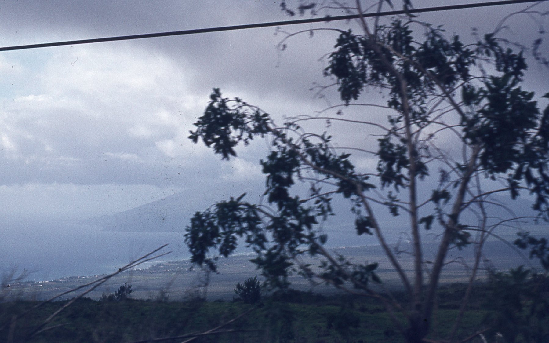 img703.jpg