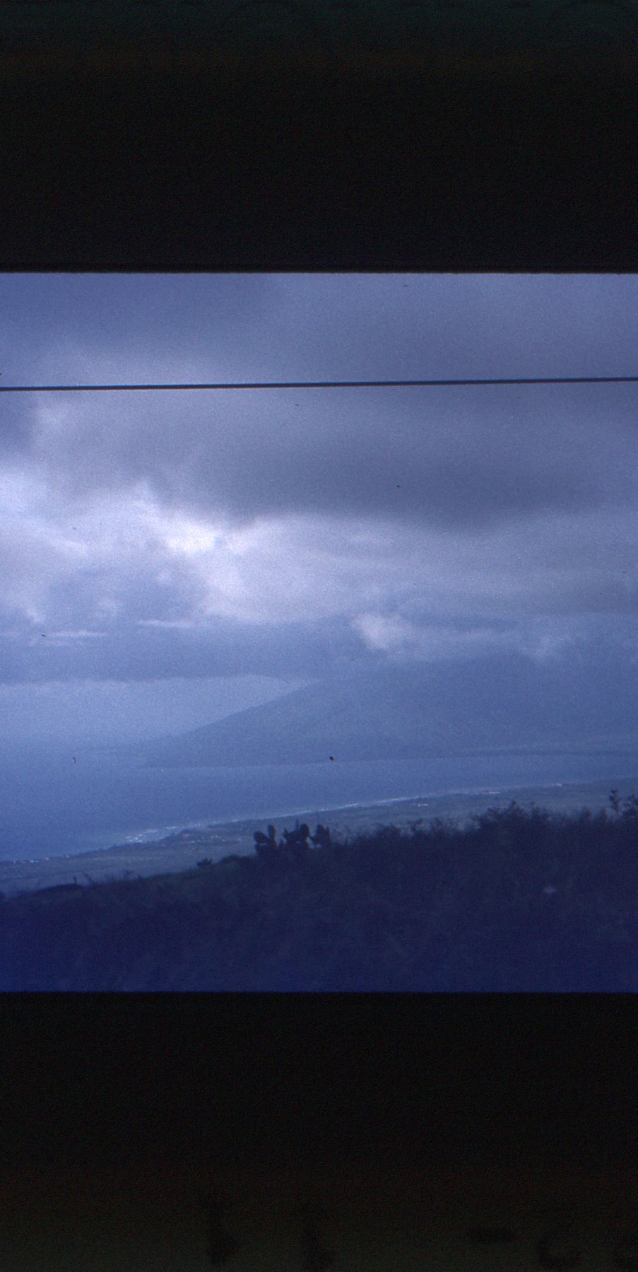 img704.jpg