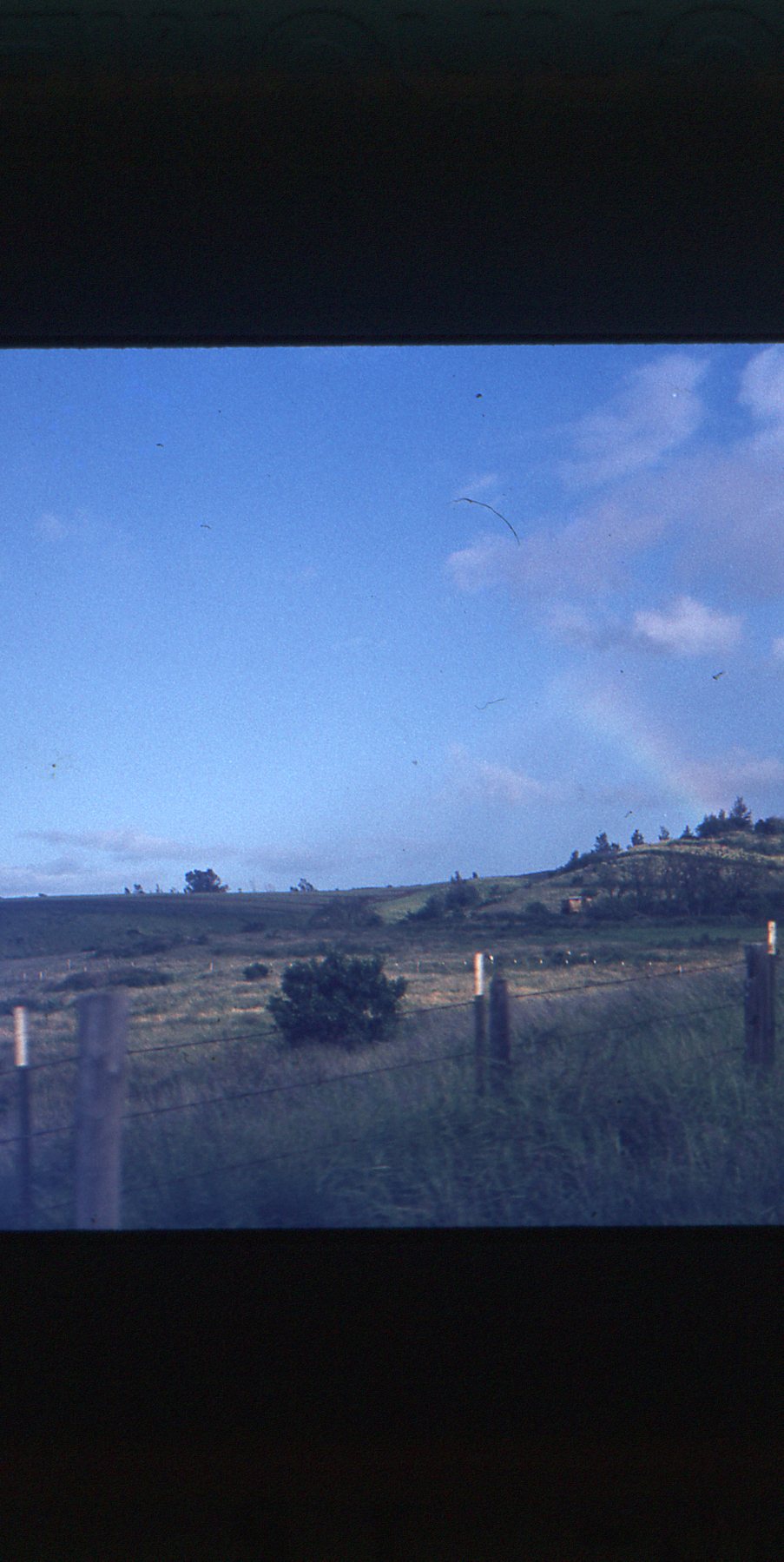 img707.jpg
