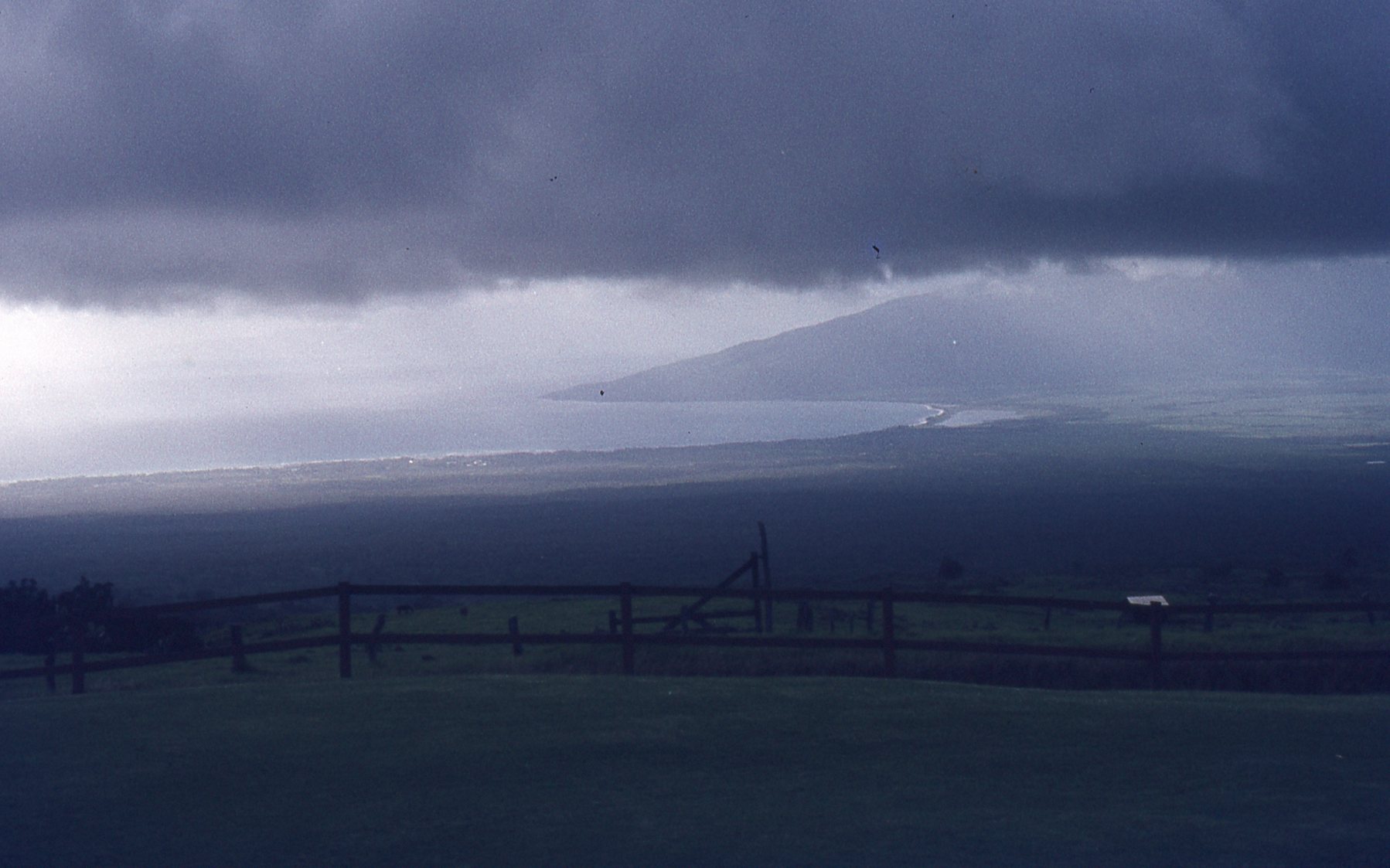img709.jpg
