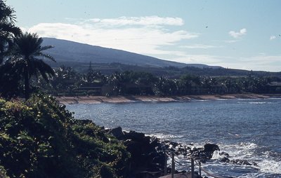 img611.jpg