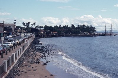 img617.jpg
