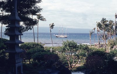 img625.jpg