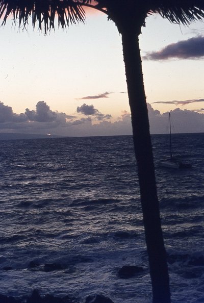 img642.jpg