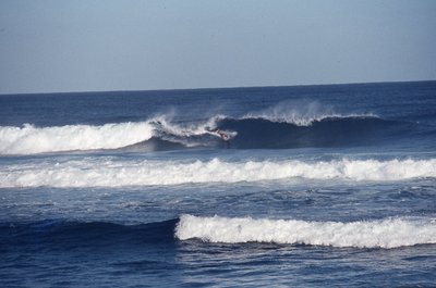 img645.jpg