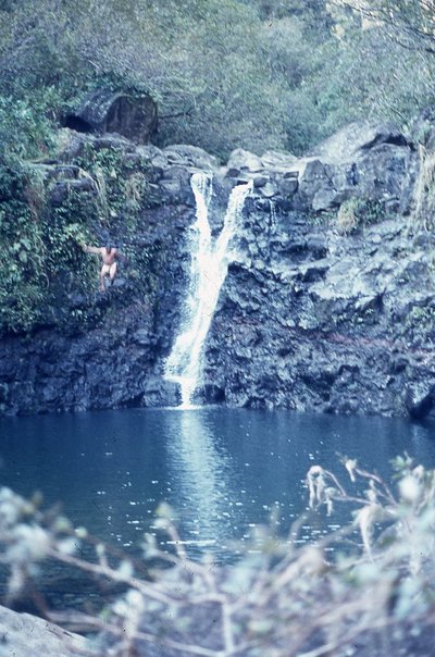 img650.jpg