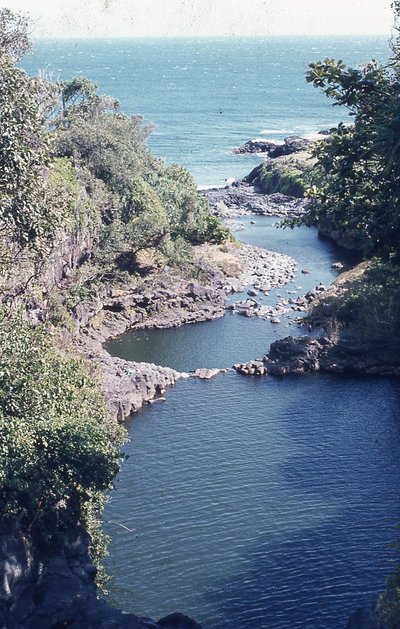 img657.jpg