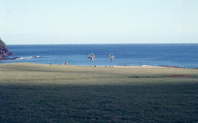 img667.jpg