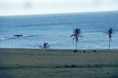 img668.jpg