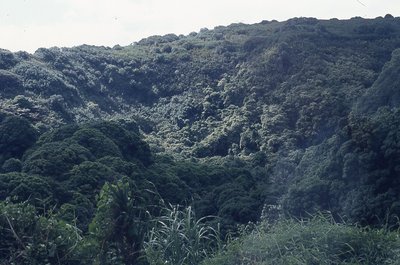 img671.jpg