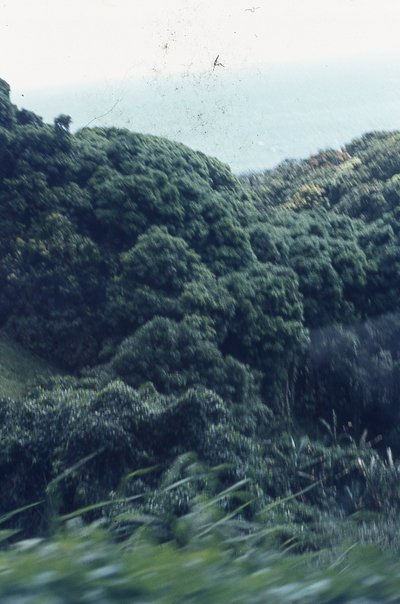 img672.jpg
