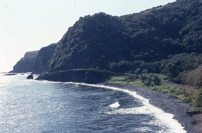 img678.jpg