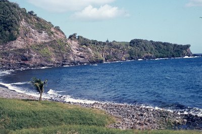img679.jpg