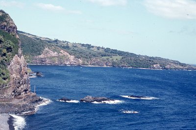 img682.jpg