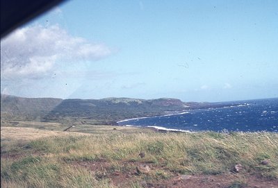 img686.jpg