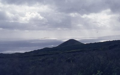 img691.jpg