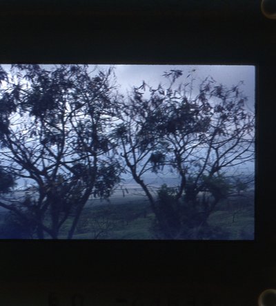 img702.jpg