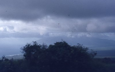 img705.jpg