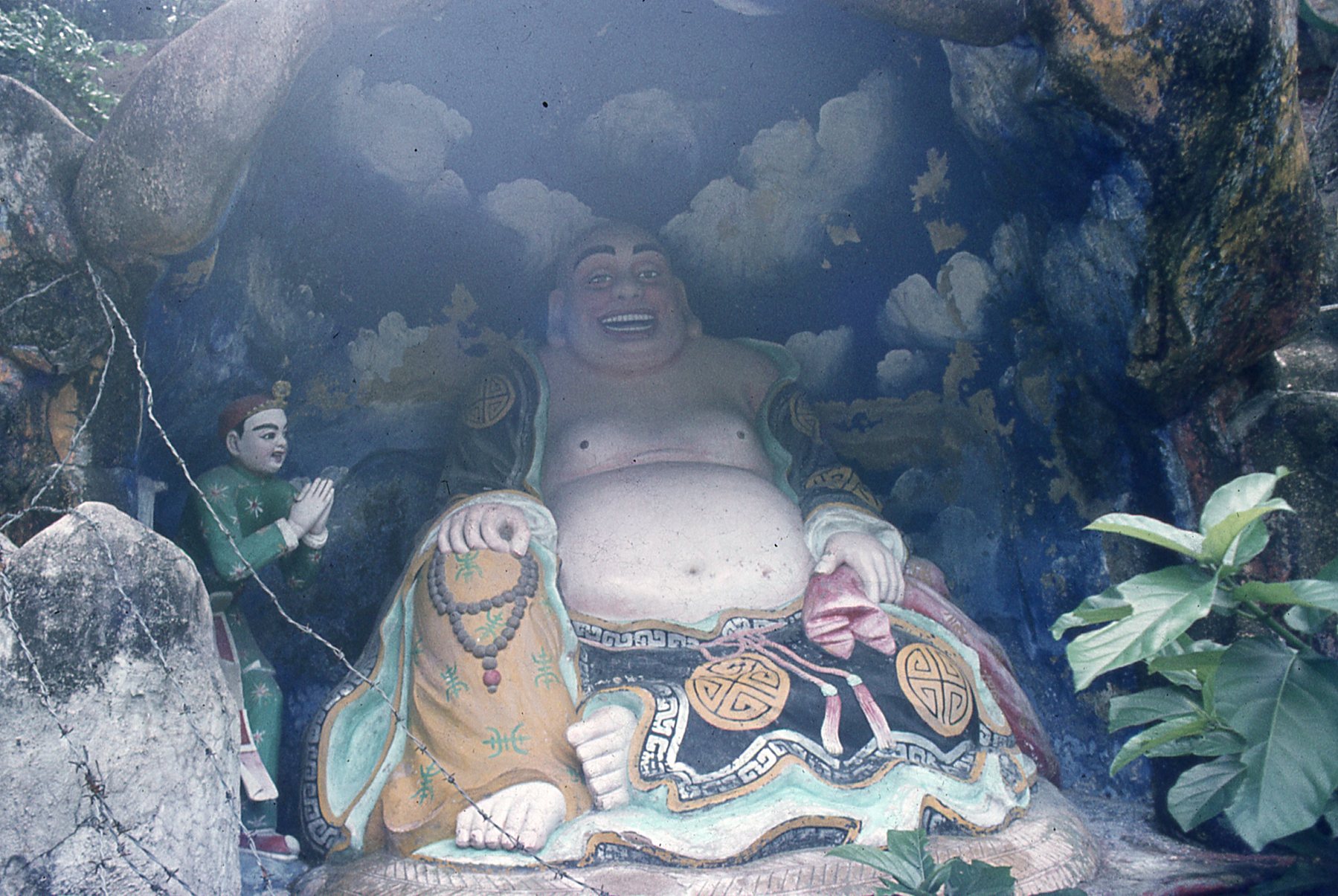 img184.jpg