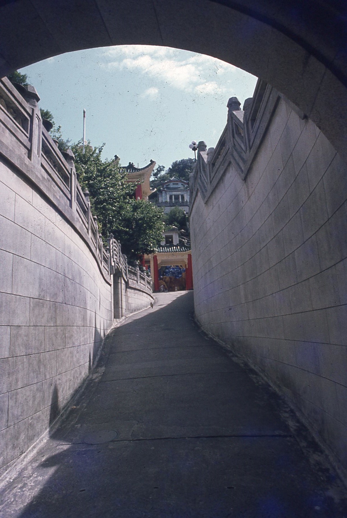 img191.jpg
