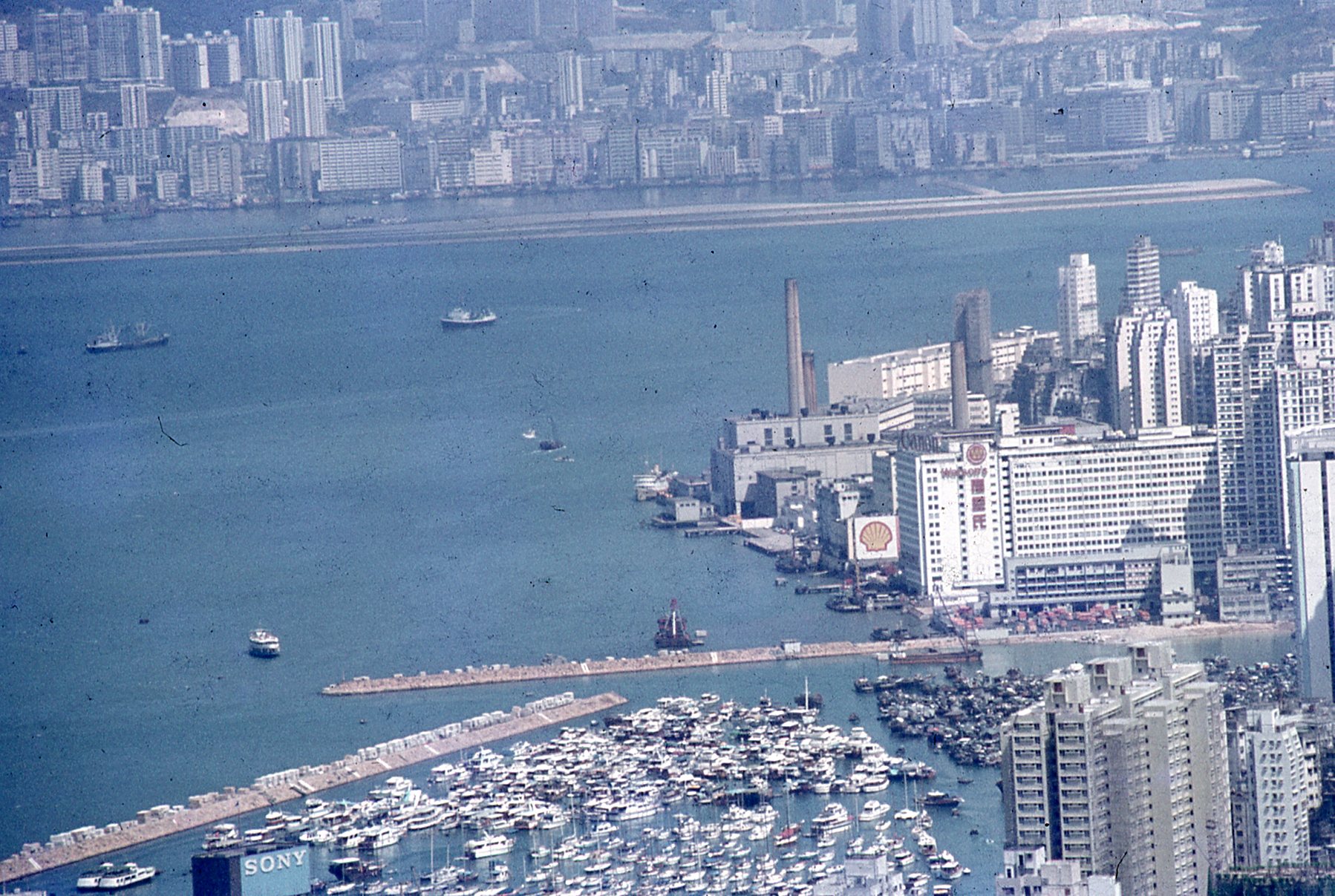 img194.jpg