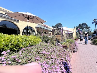 IMG_4217.jpeg