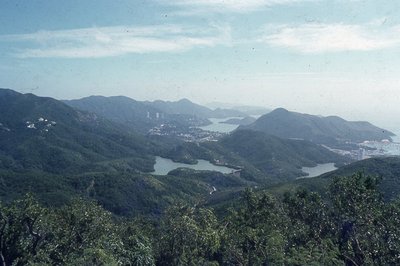 img173.jpg