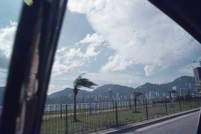 img222.jpg