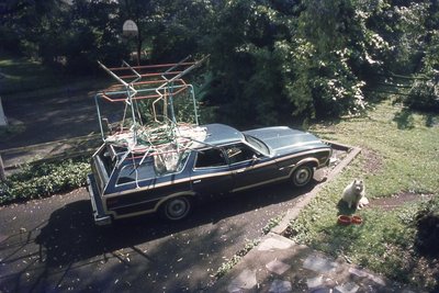 img226.jpg