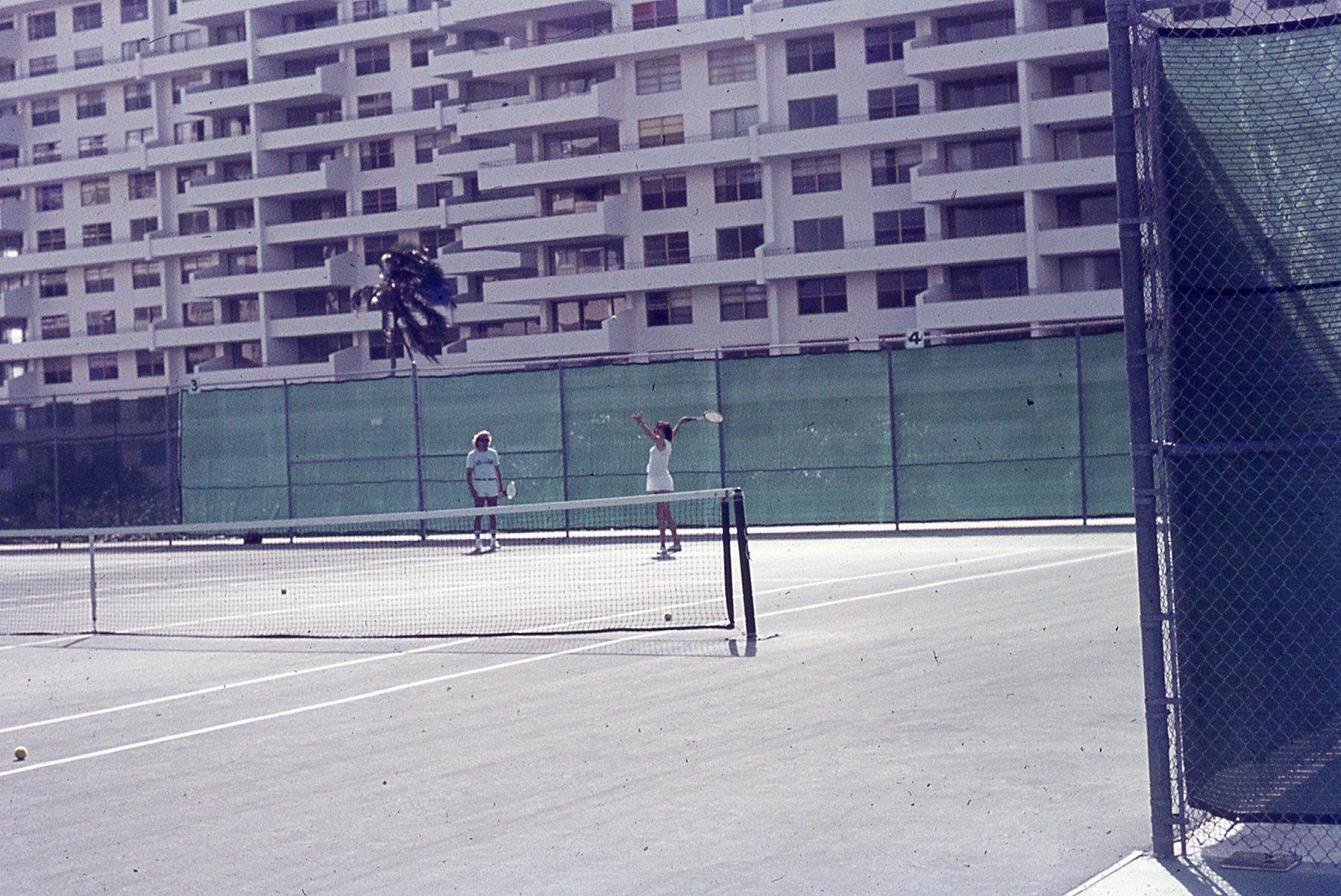 img147.jpg