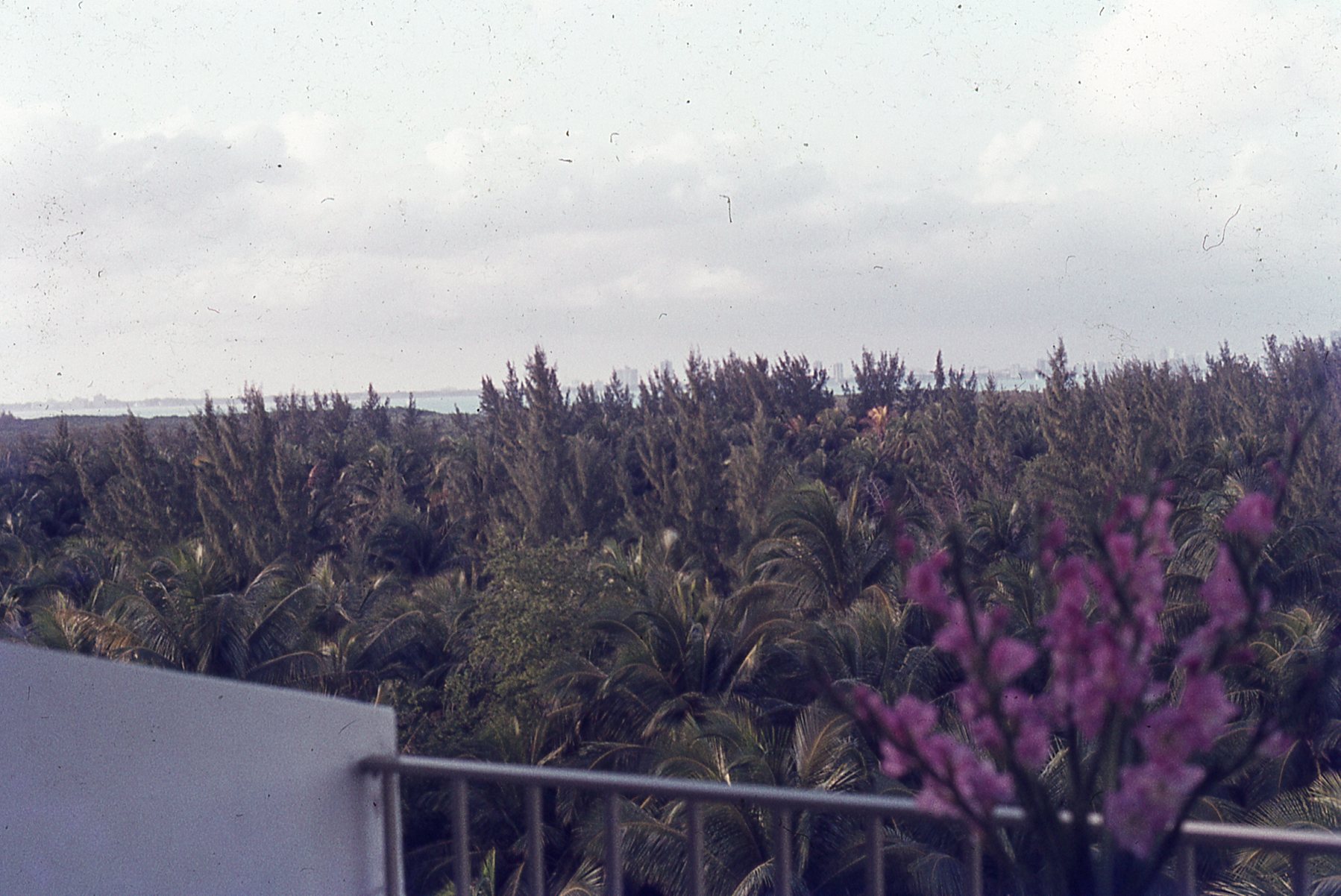 img148.jpg