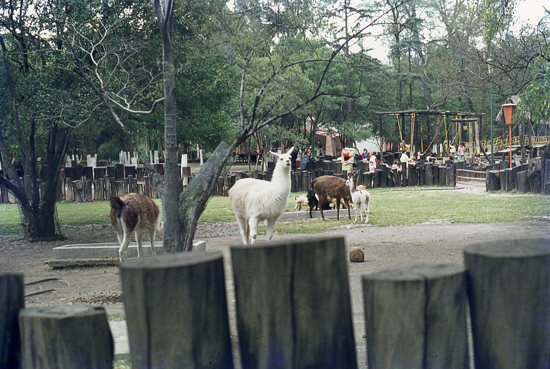 img162.jpg