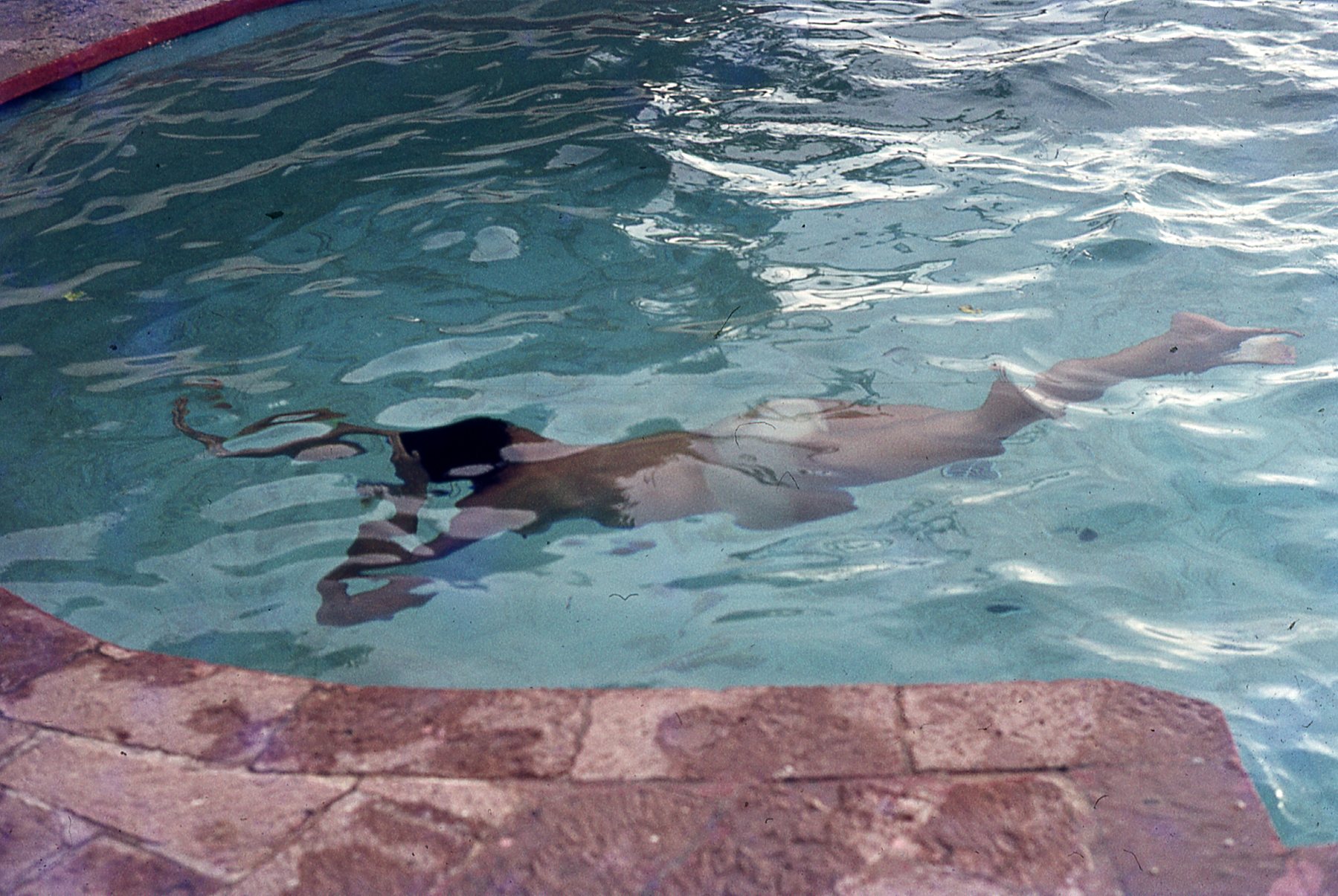 img212.jpg